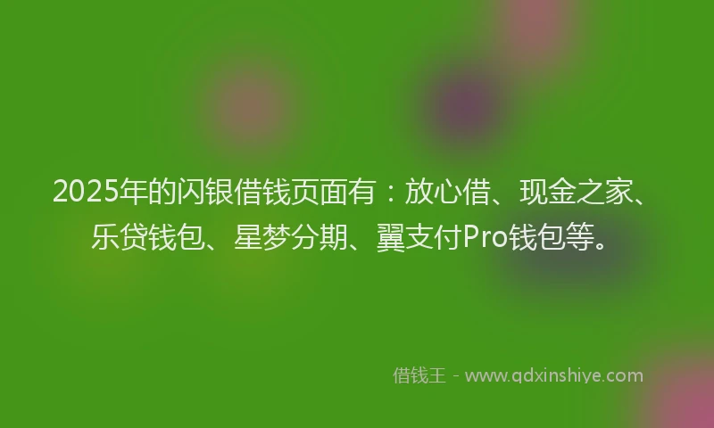2025年的闪银借钱页面有：放心借、现金之家、乐贷钱包、星梦分期、翼支付Pro钱包等。