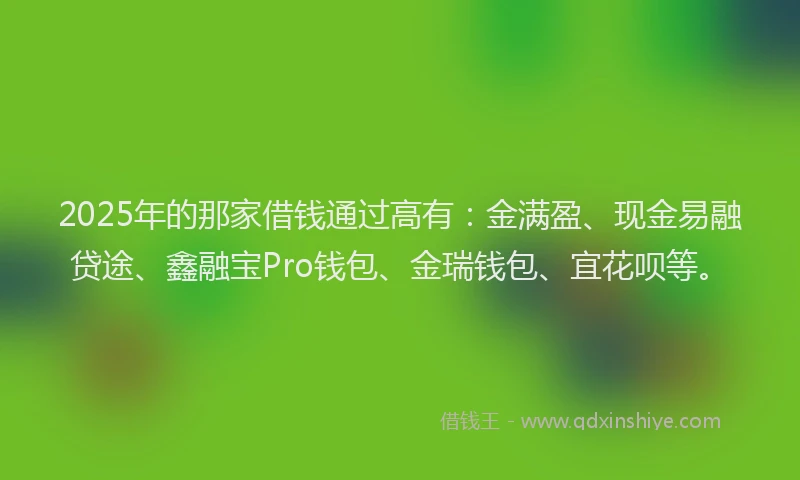2025年的那家借钱通过高有：金满盈、现金易融贷途、鑫融宝Pro钱包、金瑞钱包、宜花呗等。