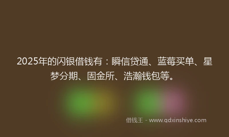 2025年的闪银借钱有：瞬信贷通、蓝莓买单、星梦分期、固金所、浩瀚钱包等。