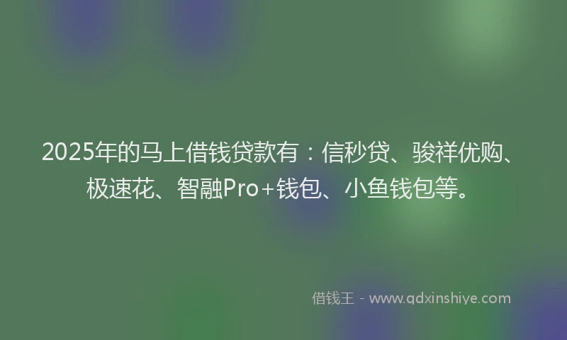 2025年的马上借钱贷款有：信秒贷、骏祥优购、极速花、智融Pro+钱包、小鱼钱包等。