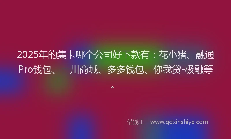 2025年的集卡哪个公司好下款有：花小猪、融通Pro钱包、一川商城、多多钱包、你我贷-极融等。