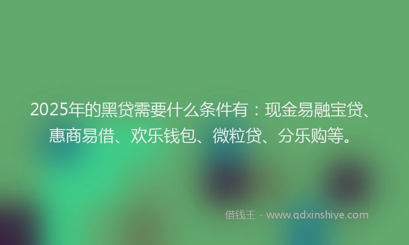 2025年的黑贷需要什么条件有：现金易融宝贷、惠商易借、欢乐钱包、微粒贷、分乐购等。
