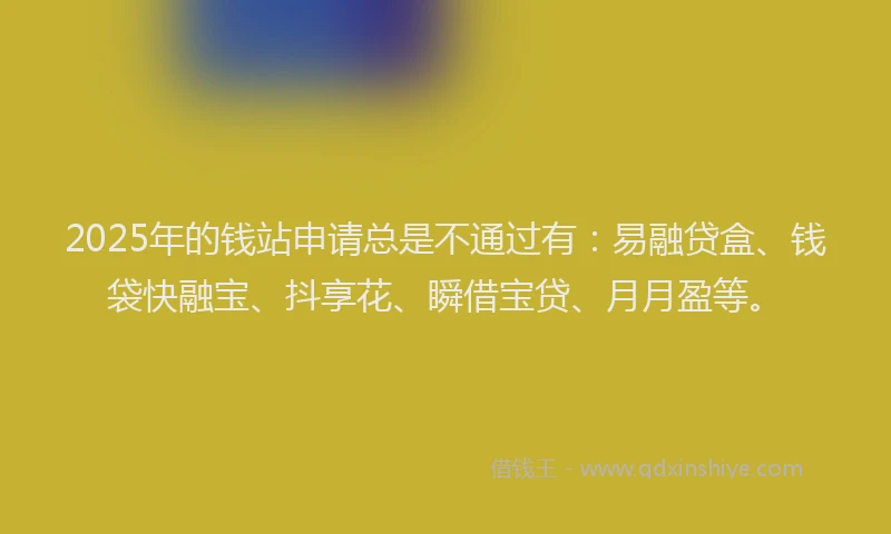 2025年的钱站申请总是不通过有：易融贷盒、钱袋快融宝、抖享花、瞬借宝贷、月月盈等。