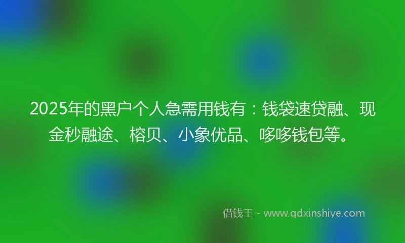 2025年的黑户个人急需用钱有：钱袋速贷融、现金秒融途、榕贝、小象优品、哆哆钱包等。