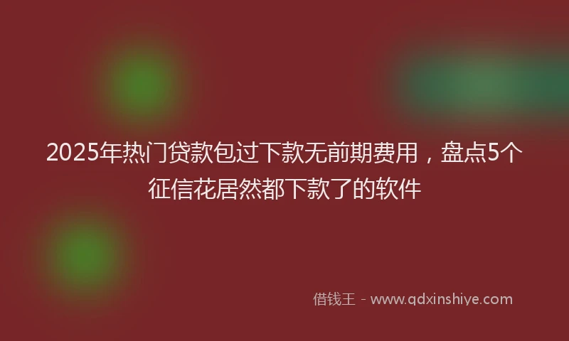 2025年热门贷款包过下款无前期费用，盘点5个征信花居然都下款了的软件