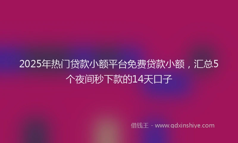 2025年热门贷款小额平台免费贷款小额，汇总5个夜间秒下款的14天口子