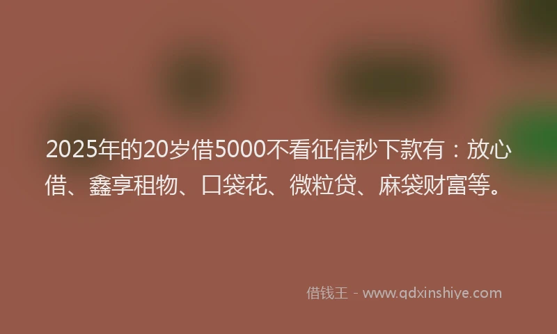 2025年的20岁借5000不看征信秒下款有：放心借、鑫享租物、口袋花、微粒贷、麻袋财富等。