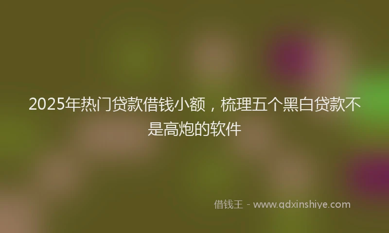 2025年热门贷款借钱小额，梳理五个黑白贷款不是高炮的软件