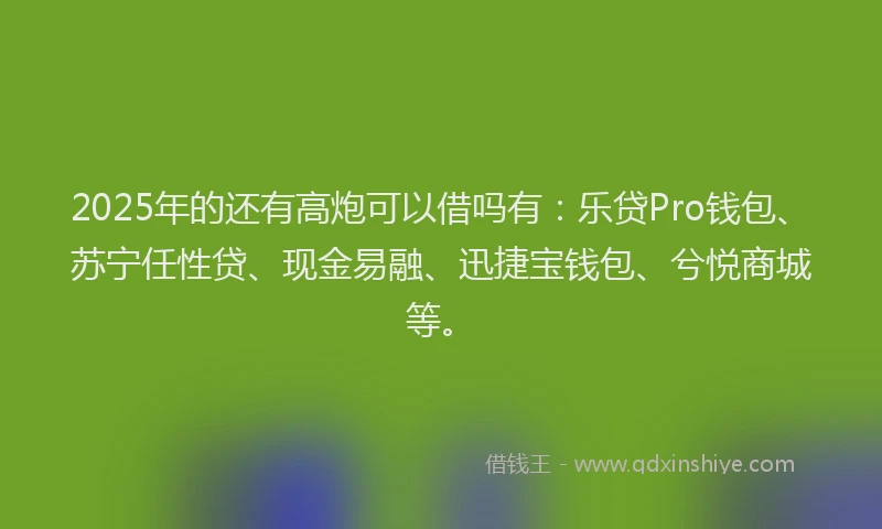 2025年的还有高炮可以借吗有：乐贷Pro钱包、苏宁任性贷、现金易融、迅捷宝钱包、兮悦商城等。