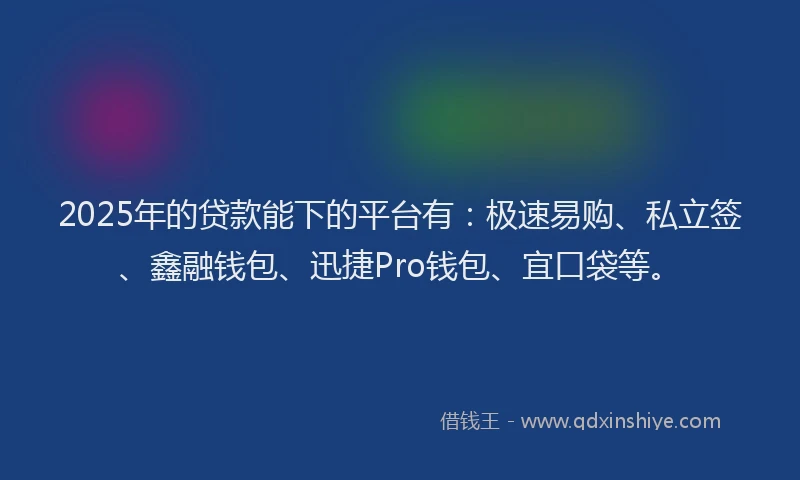 2025年的贷款能下的平台有：极速易购、私立签、鑫融钱包、迅捷Pro钱包、宜口袋等。