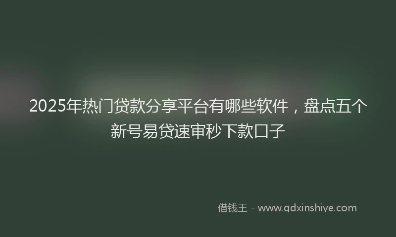 2025年热门贷款分享平台有哪些软件，盘点五个新号易贷速审秒下款口子