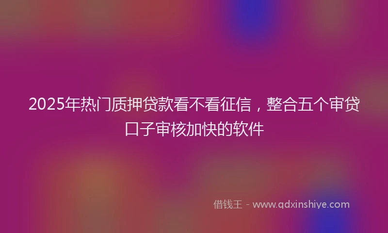 2025年热门质押贷款看不看征信，整合五个审贷口子审核加快的软件