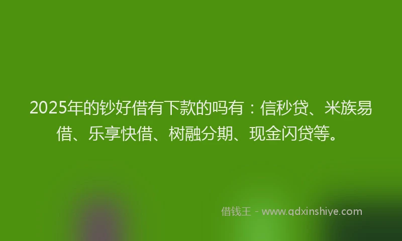 2025年的钞好借有下款的吗有：信秒贷、米族易借、乐享快借、树融分期、现金闪贷等。