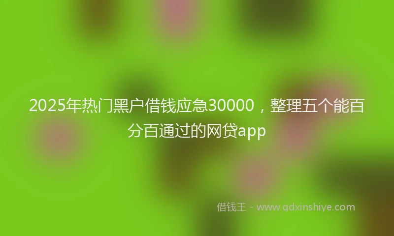 2025年热门黑户借钱应急30000，整理五个能百分百通过的网贷app