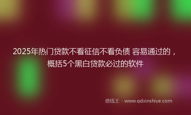 2025年热门贷款不看征信不看负债 容易通过的，概括5个黑白贷款必过的软件