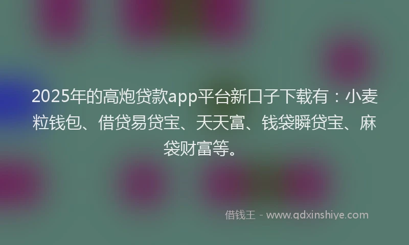 2025年的高炮贷款app平台新口子下载有：小麦粒钱包、借贷易贷宝、天天富、钱袋瞬贷宝、麻袋财富等。