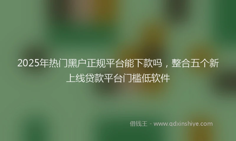 2025年热门黑户正规平台能下款吗，整合五个新上线贷款平台门槛低软件