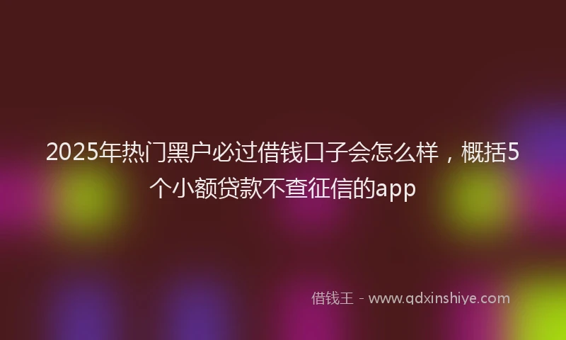 2025年热门黑户必过借钱口子会怎么样，概括5个小额贷款不查征信的app
