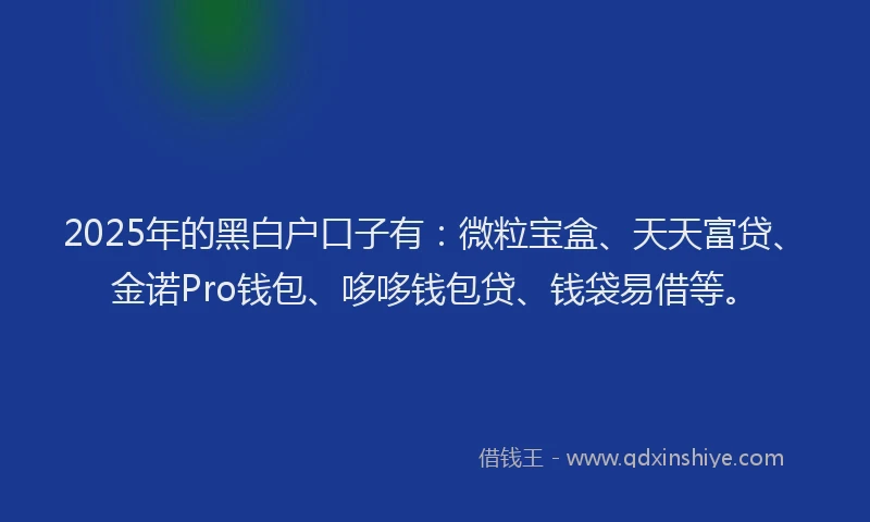 2025年的黑白户口子有：微粒宝盒、天天富贷、金诺Pro钱包、哆哆钱包贷、钱袋易借等。