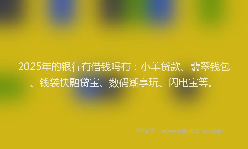 2025年的银行有借钱吗有：小羊贷款、翡翠钱包、钱袋快融贷宝、数码潮享玩、闪电宝等。
