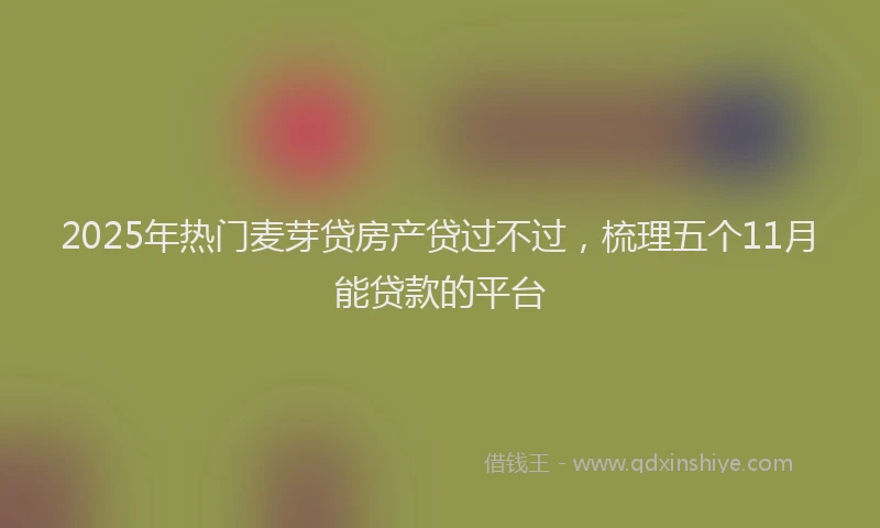 2025年热门麦芽贷房产贷过不过，梳理五个11月能贷款的平台