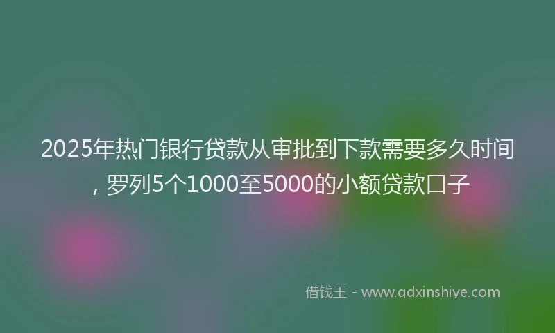 2025年热门银行贷款从审批到下款需要多久时间，罗列5个1000至5000的小额贷款口子