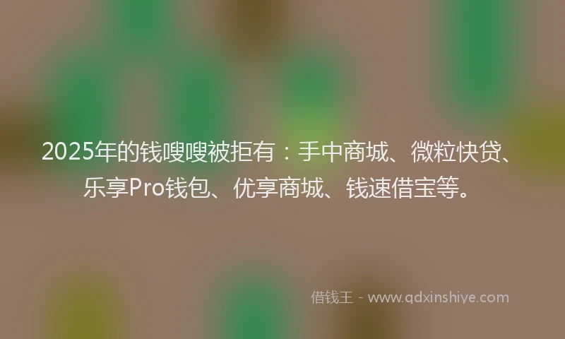 2025年的钱嗖嗖被拒有：手中商城、微粒快贷、乐享Pro钱包、优享商城、钱速借宝等。