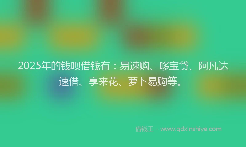 2025年的钱呗借钱有：易速购、哆宝贷、阿凡达速借、享来花、萝卜易购等。
