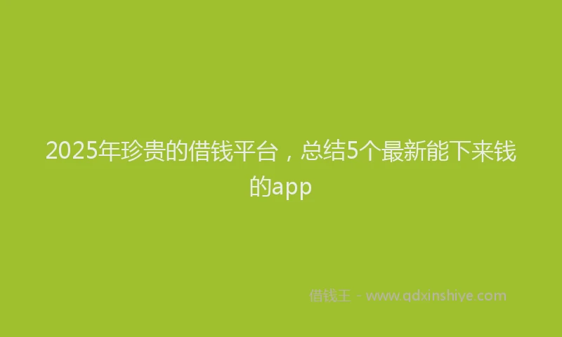 2025年珍贵的借钱平台，总结5个最新能下来钱的app