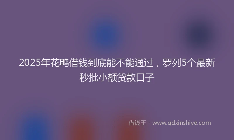 2025年花鸭借钱到底能不能通过，罗列5个最新秒批小额贷款口子