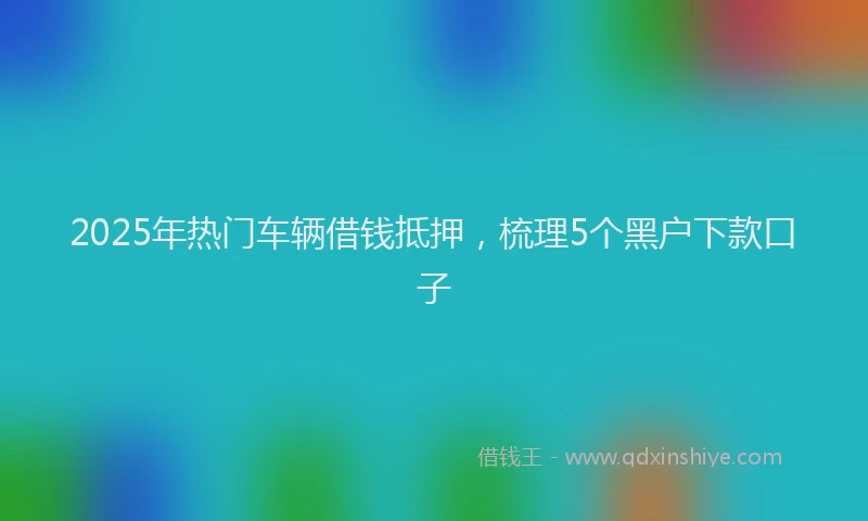 2025年热门车辆借钱抵押，梳理5个黑户下款口子