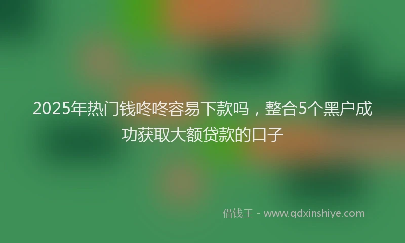 2025年热门钱咚咚容易下款吗，整合5个黑户成功获取大额贷款的口子