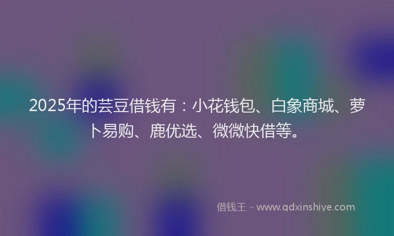 2025年的芸豆借钱有：小花钱包、白象商城、萝卜易购、鹿优选、微微快借等。