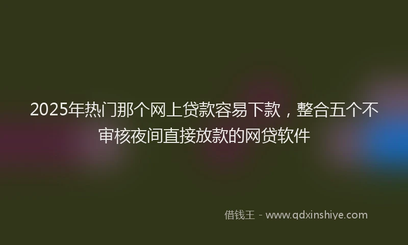 2025年热门那个网上贷款容易下款，整合五个不审核夜间直接放款的网贷软件