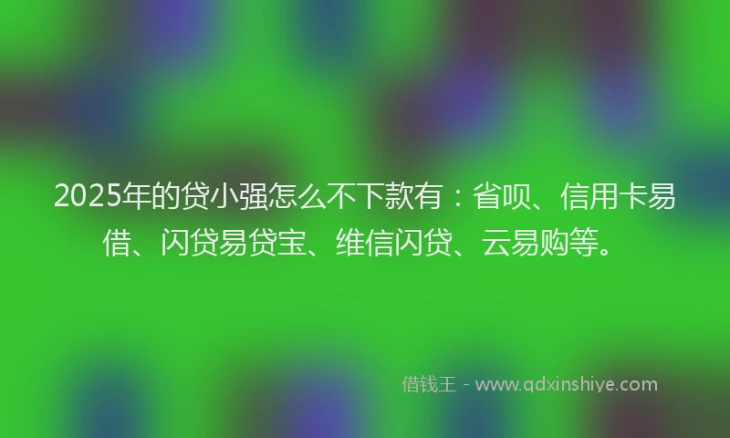 2025年的贷小强怎么不下款有：省呗、信用卡易借、闪贷易贷宝、维信闪贷、云易购等。