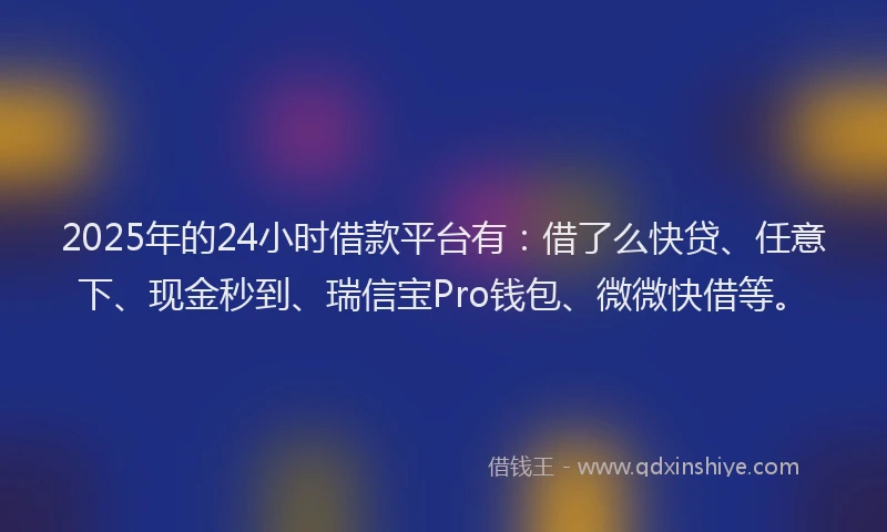 2025年的24小时借款平台有：借了么快贷、任意下、现金秒到、瑞信宝Pro钱包、微微快借等。