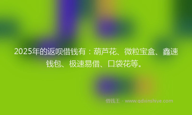 2025年的返呗借钱有：葫芦花、微粒宝盒、鑫速钱包、极速易借、口袋花等。