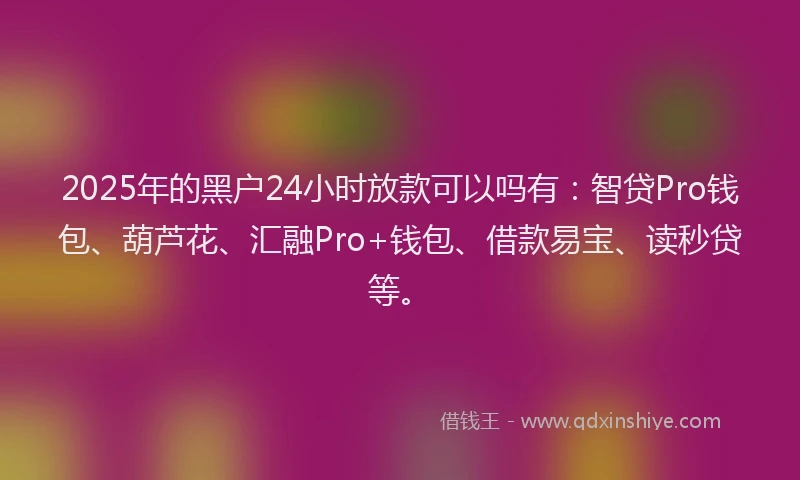 2025年的黑户24小时放款可以吗有：智贷Pro钱包、葫芦花、汇融Pro+钱包、借款易宝、读秒贷等。