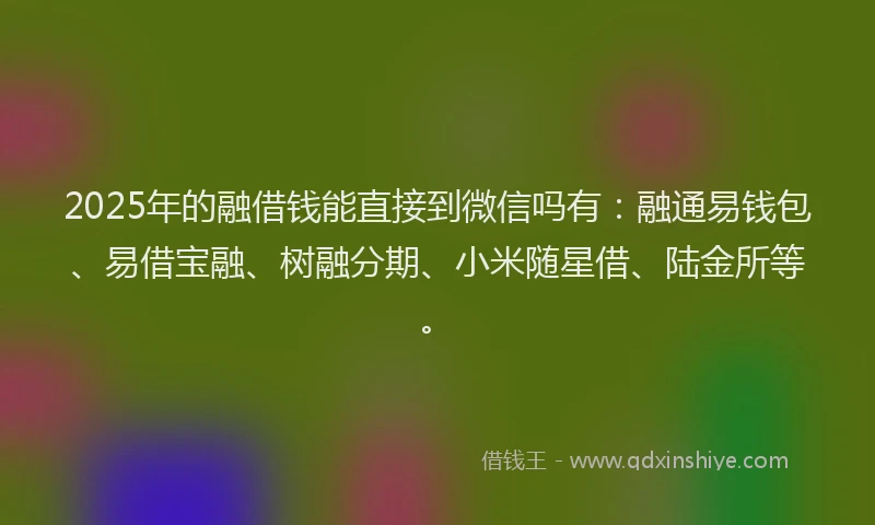 2025年的融借钱能直接到微信吗有：融通易钱包、易借宝融、树融分期、小米随星借、陆金所等。