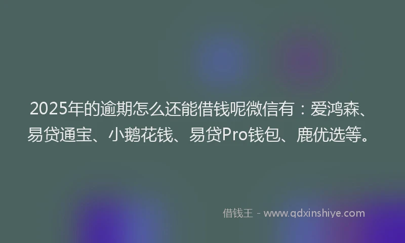 2025年的逾期怎么还能借钱呢微信有：爱鸿森、易贷通宝、小鹅花钱、易贷Pro钱包、鹿优选等。