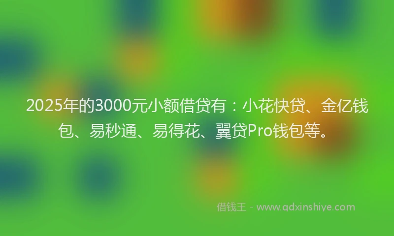 2025年的3000元小额借贷有：小花快贷、金亿钱包、易秒通、易得花、翼贷Pro钱包等。