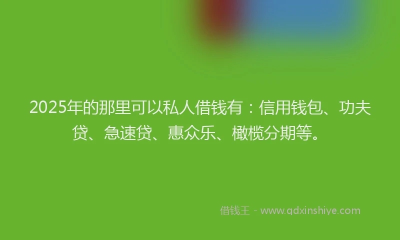 2025年的那里可以私人借钱有：信用钱包、功夫贷、急速贷、惠众乐、橄榄分期等。