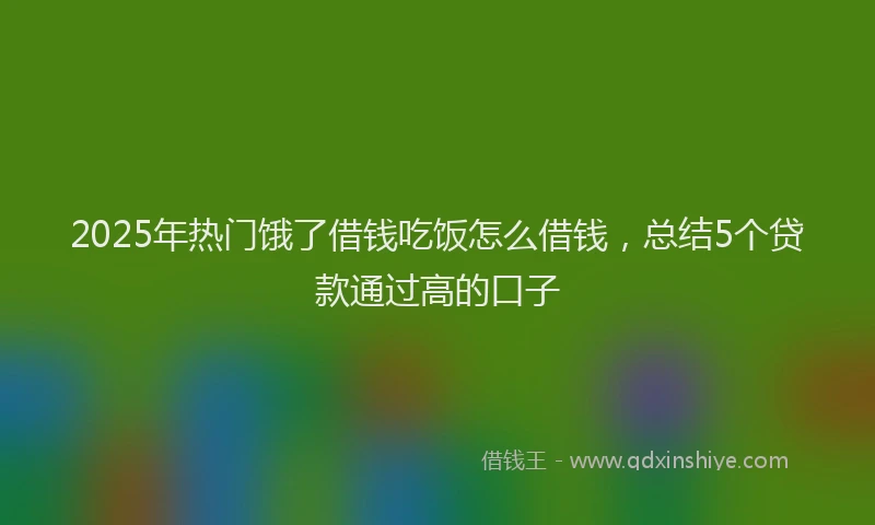 2025年热门饿了借钱吃饭怎么借钱，总结5个贷款通过高的口子