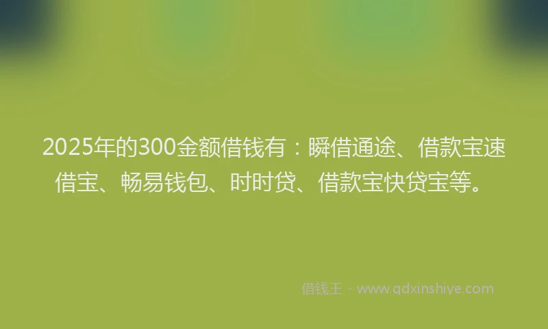 2025年的300金额借钱有：瞬借通途、借款宝速借宝、畅易钱包、时时贷、借款宝快贷宝等。