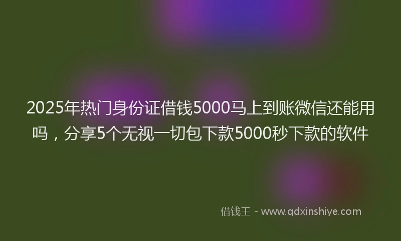 2025年热门身份证借钱5000马上到账微信还能用吗，分享5个无视一切包下款5000秒下款的软件