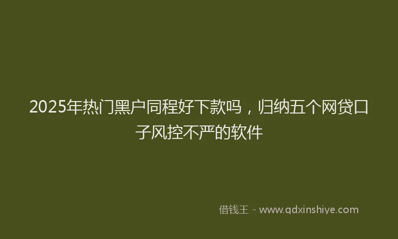 2025年热门黑户同程好下款吗，归纳五个网贷口子风控不严的软件