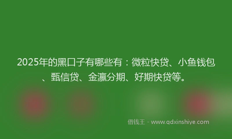 2025年的黑口子有哪些有：微粒快贷、小鱼钱包、甄信贷、金瀛分期、好期快贷等。