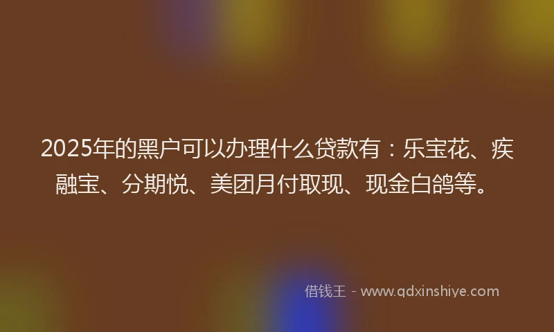 2025年的黑户可以办理什么贷款有：乐宝花、疾融宝、分期悦、美团月付取现、现金白鸽等。
