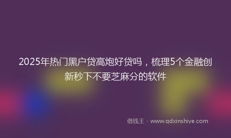 2025年热门黑户贷高炮好贷吗，梳理5个金融创新秒下不要芝麻分的软件