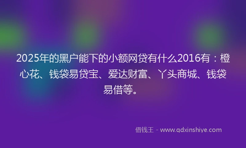 2025年的黑户能下的小额网贷有什么2016有：橙心花、钱袋易贷宝、爱达财富、丫头商城、钱袋易借等。